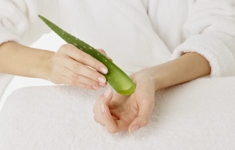 Young woman, hands, aloe vera Young woman, hands, aloe vera